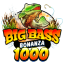 bigbassbonanza1000.co.uk favicon